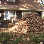 Leaf piles: an unassuming safety threat