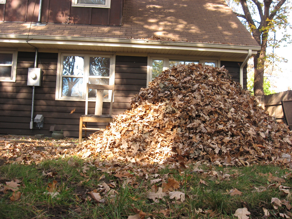 leaf piles