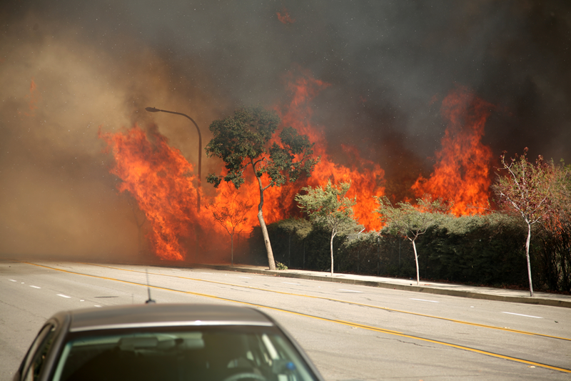 Wildfire Evacuation Signs: For Evacuation Like No Other